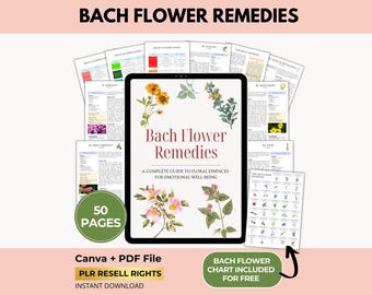 Guide ebook Fleurs de Bach avec droits de revente DPP, affiche graphique, remèdes naturels à base de plantes, Canva + PDF