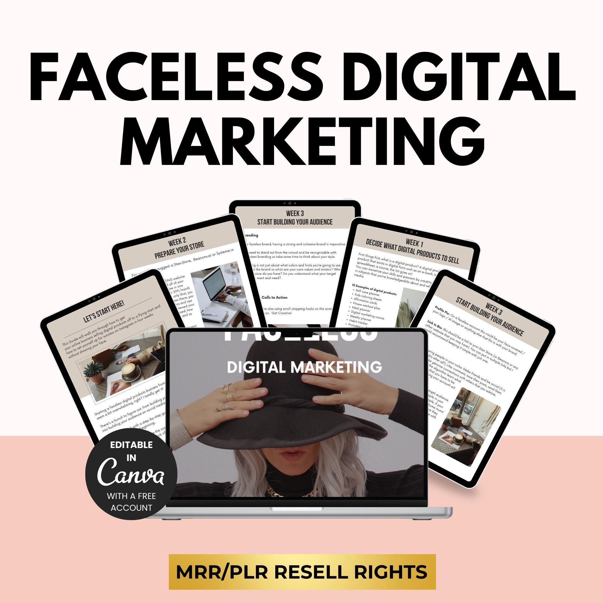 Faceless Digital Marketing Ebook With PLR and MRR, Learn and Resell ...