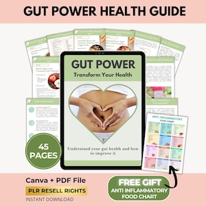 Gut Health Guide with PLR Resell Rights, Nutrition Ebook, Gut Recipes, Anti-inflammatory Food Chart, Meal Plan, Canva + PDF