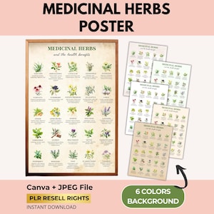 Botanische geneeskunde kruidenposter met PLR-wederverkooprechten, vintage kruiden- en plantenillustratie, afdrukken met genezende planten, canvas en pdf