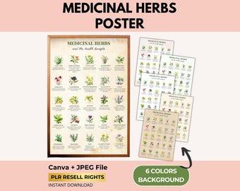 Pôster de Ervas Medicinais Botânicas com Direitos de Revenda PLR, Ilustração Vintage de Ervas e Plantas, Impressão de Plantas Medicinais, Canva + PDF