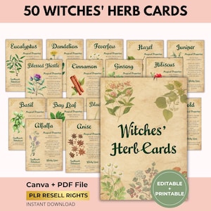 May include: A set of 50 Witches' Herb Cards, each displaying botanical illustrations and text. The cards showcase herbs such as Eucalyptus, Dandelion, and Cinnamon. The design includes the text "Witches' Herb Cards" and "Canva + PDF File".