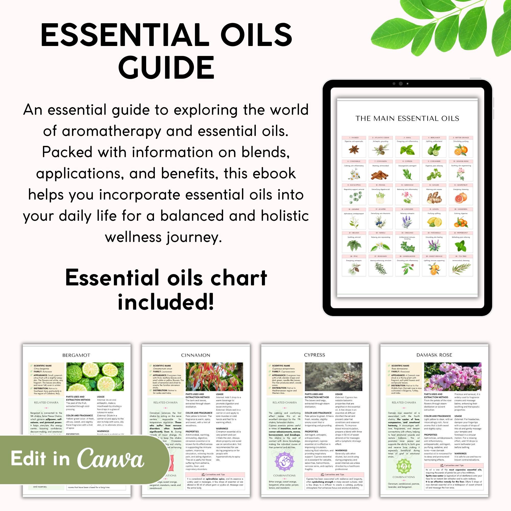 Aromatherapy & Essential Oils Guide With PLR Resell Rights, Herbal ...