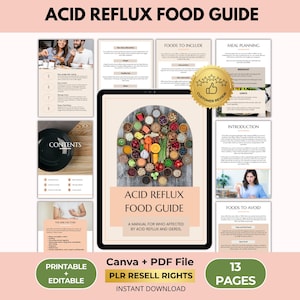 Acid Reflux Food Guide, GERD Diet, Heartburn Relief, Gastritis Meal Plan, Canva + PDF, PLR Resell Rights