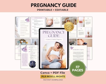Pregnancy Guide Ebook, New Born Care Guidebook, Maternity Book, Canva + PDF, PLR Digital Product