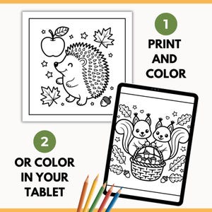 May include: Black and white coloring pages featuring a hedgehog with an apple and leaves, and two squirrels with a basket of acorns. The text says "Print and Color" and "Or Color in Your Tablet". Colored pencils are at the bottom.