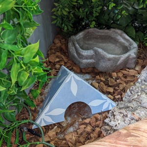 May include: A blue and white patterned triangular hide with a rounded opening, a grey stone water dish, and a brown log in a terrarium setting with brown coconut husk substrate.