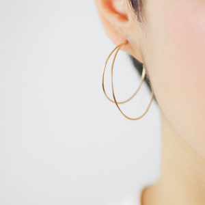 May include: A pair of gold hoop earrings with a double-hoop design. The earrings are worn in the left ear.