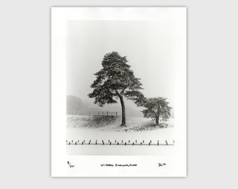 Winters Embrace - Limited Edition Silver Gelatin Print - 8x10"