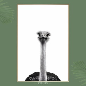 Ostrich Poster, Ostrich Print, Ostrich Monochrome Wall Art, Ostrich Wall Art, Safari Animal Print, Wildlife Print, Ostrich Photo Print