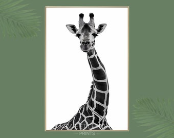 Elegant Giraffe Poster, Giraffe Print, Giraffe Monochrome Wall Art, Giraffe Wall Art, Safari Animal Print, Wildlife Print, Giraffe Photo