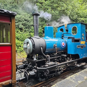 Puede incluir: Un tren de locomotora de vapor azul y negro con un vagón de cola rojo. La locomotora tiene una cara grande, redonda, azul con un ojo blanco y una boca negra. La locomotora está etiquetada como "Duncan" y tiene un círculo rojo, blanco y azul en el lateral. El tren está en una vía con árboles verdes en el fondo.