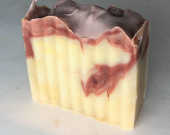 Shampoo Bars set of 2: Apple Cider Vinegar, Natural Vegan Soap eco friendly