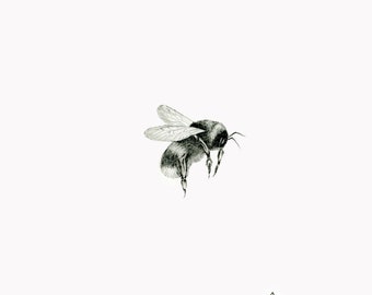 BEE 6, Original graphite pencil drawing