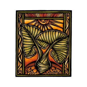 KALO limited edition fine art print