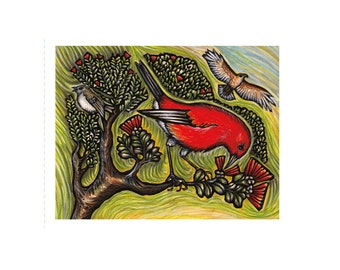 Rainforest Birds color note cards- 6 card set