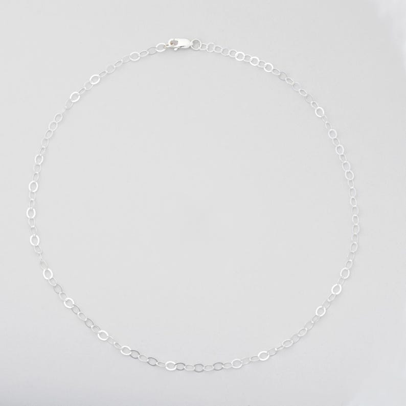 Puede incluir: Un collar de cadena de plata con cierre de mosquet&oacute;n.