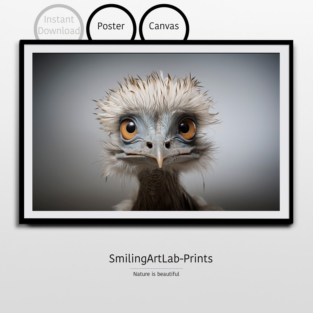 Emu Image in Photographic Style: Poster or Canvas - Australian Animal ...