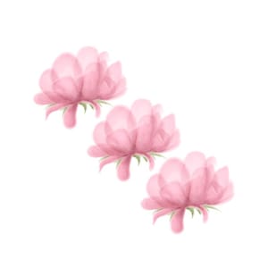 Digital print