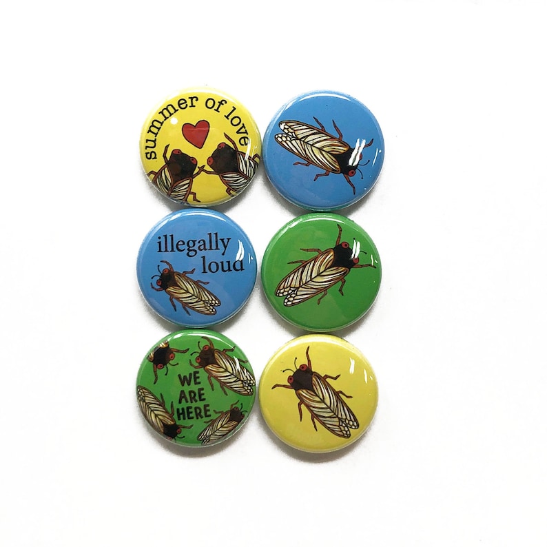 May include: Six round buttons with different designs. The buttons are yellow, blue, and green. The designs include cicadas, hearts, and text that says "Summer of Love", "Illegally Loud", and "We Are Here".