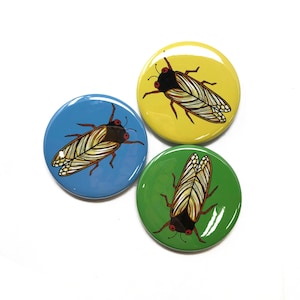 Cicada Pin Back Button, Fridge Magnet, or Pocket Mirror