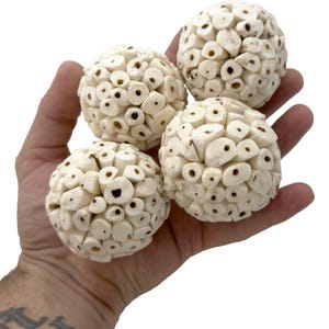 8001 Pk4 Små Sola Balls fågelleksaksdelar tuggbara naturliga födosöksfotleksaker lätt burberikning för undulater conures nymfparakiter