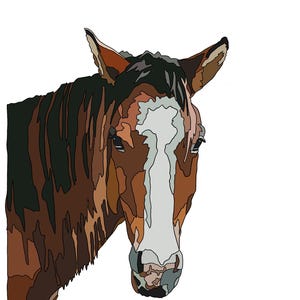 Pode incluir: Ilustração digital da cabeça de um cavalo. O cavalo tem pelagem e crina marrons e pretas, com uma faixa branca no rosto. A obra de arte é definida contra um fundo branco e usa um estilo geométrico.