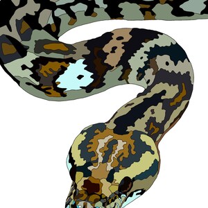 Può includere: Primo piano di un serpente con un motivo mimetico marrone, nero e verde. La testa del serpente è rivolta verso lo spettatore e i suoi occhi sono blu.