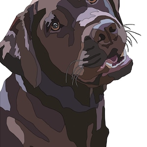 Op de afbeelding: Een bruine Labrador Retriever met zijn tong naar buiten, kijkend naar rechts. De hond heeft bruine ogen en een zwarte neus.