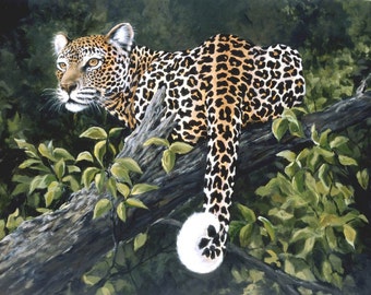 ON THE WATCH  Leopard 16x20 big cats wildlife trees jungle Reproduction