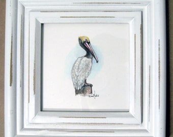 Miniature Original PELICAN seashore Birds ocean Coastal Beach Tiny Art Pencil ink wildlife 4x4 in art Framed size Realistic Great Gift