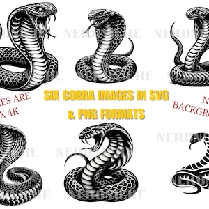 Cobra SVG, cobra png, cobra sticker, cobra logo, cobra illustratie, koningscobra, cobra clipart, zwarte cobra-slang, reptiel digitale download