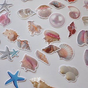 SEA SHELL Scallop Starfish Stickers 50Pcs