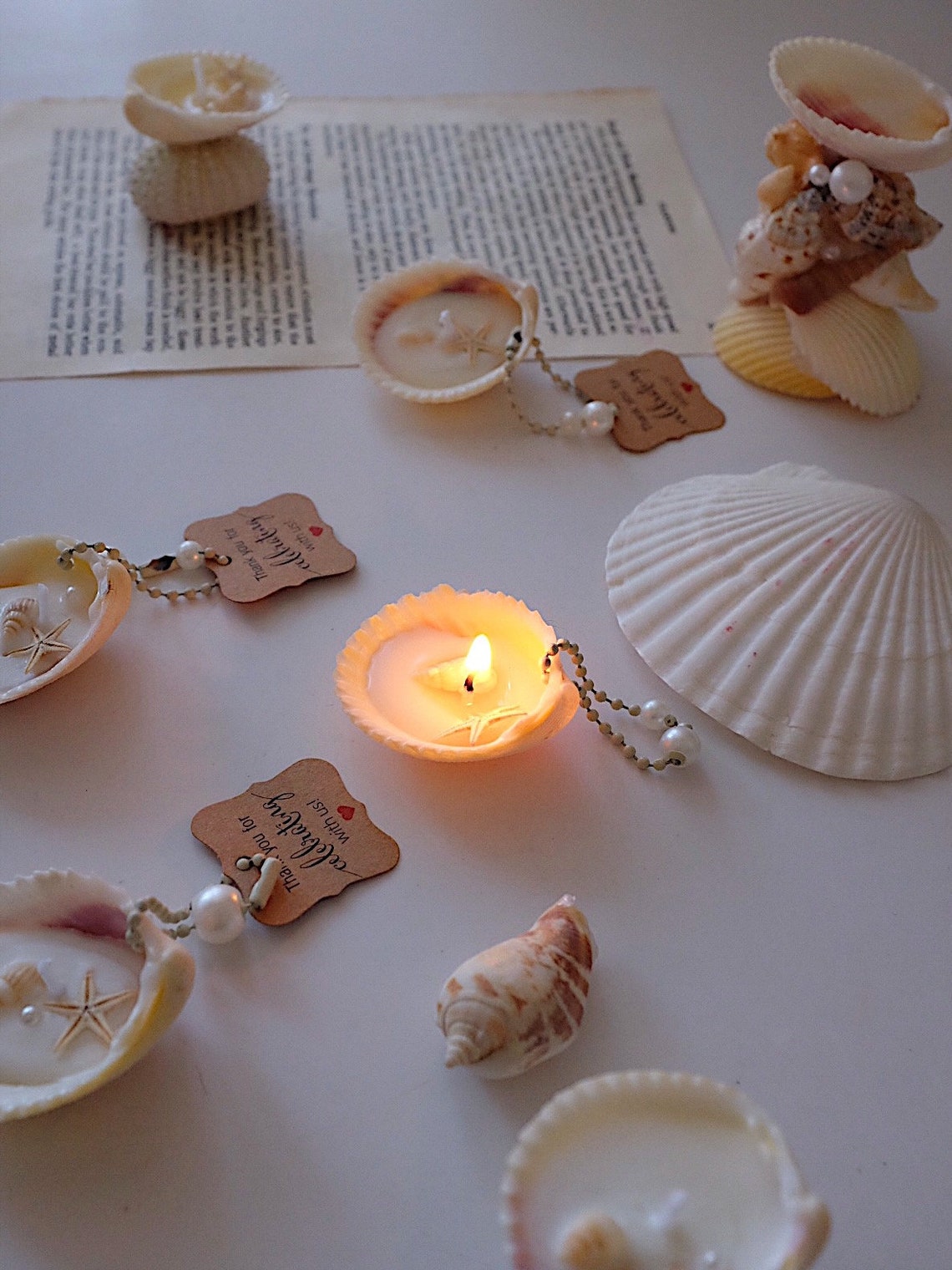 SEA SHELL Key Chains, Natural Seashell, Ocean Gift, Ocean Accessory ...