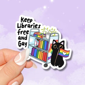 LGBTQ Bookish Library Sticker, Pride Stickers for Book Lovers Gift, Bookish Queer Merch Kindle Sticker Reader, Reading Lover E-Reader