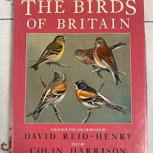 Vintage Illustrated Bird Book - The History of the Birds of Britain by Colin Harrison