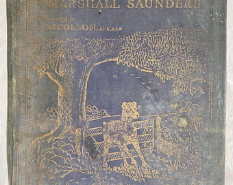 Antique Children's Book - Joe, 1907 Edition