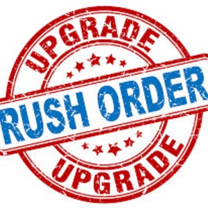 RUSH FEE