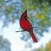 see more listings in the Bird Suncatchers section