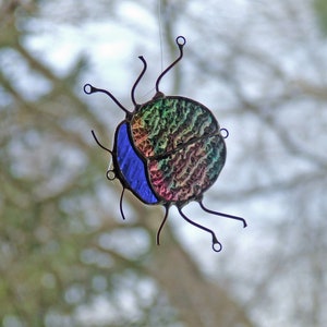 Blue Headed Kokomo Bluish Purplish/Pinkish Amber Beetle Bug image 6