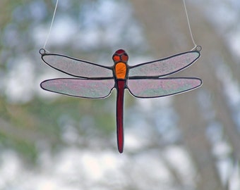 Red Tailed Dragonfly