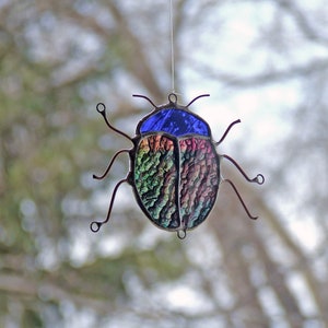 Blue Headed Kokomo Bluish Purplish/Pinkish Amber Beetle Bug image 4