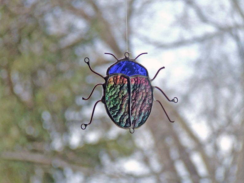 Blue Headed Kokomo Bluish Purplish/Pinkish Amber Beetle Bug image 4