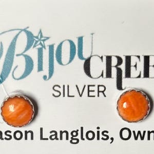 Turquoise Stud Earrings