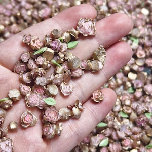 May include: A handful of miniature, delicate rose-shaped embellishments. The tiny flowers are primarily pink with gold-colored edges and accents, and some have small green leaf details. The background is filled with similar embellishments.