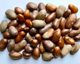 5oz (141g) Ehuru | Calabash Nut-meg | Efuru | Erhe | Ariwo | Efure | Pebe |Jamaican Nutmeg | Gyadam Miya | Ghana Seed |Naija Foodstuffs