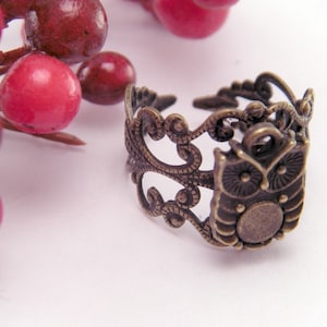 May include: A bronze ring with an ornate design featuring an owl charm. The ring is adjustable and can be worn on any finger.