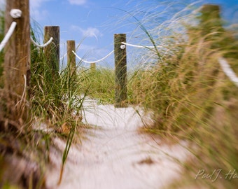 Walkway to the Beach Photographic Print