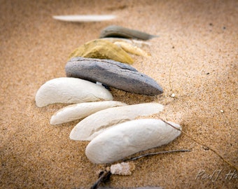 Lake Michigan Stones Frozen in Sand on the Beach Print