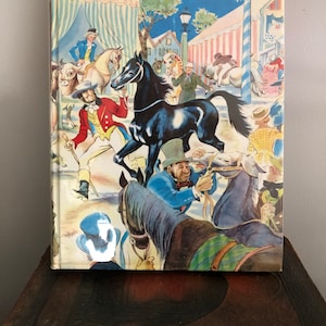 Black Beauty novel